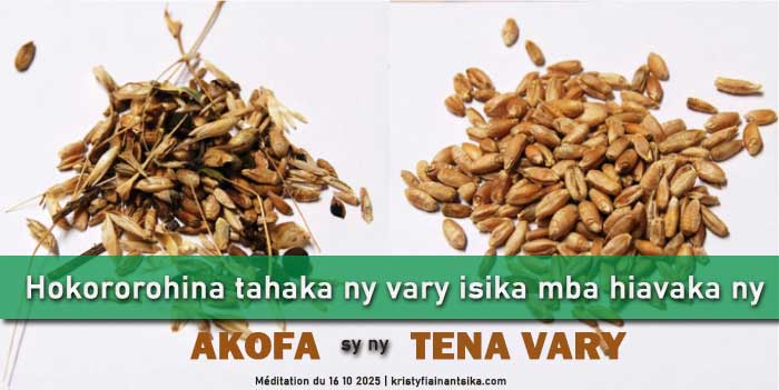 Hokororohina tahaka ny vary isika mba hiavaka ny tena vary sy ny akofa