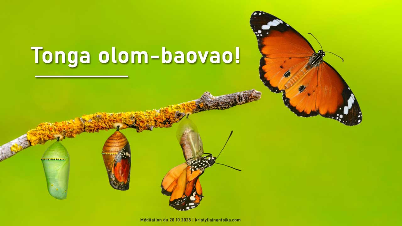 Tonga olom-baovao!