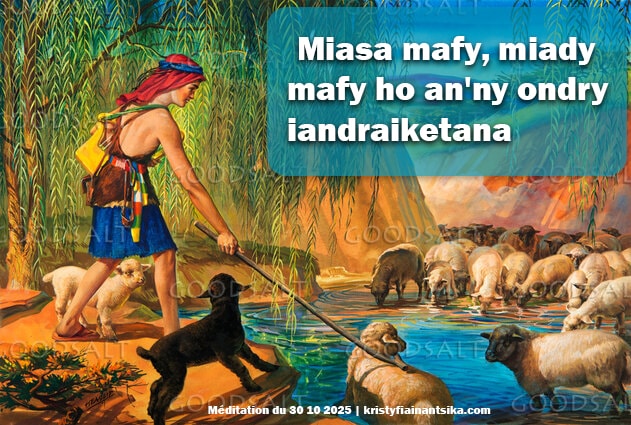 Miasa mafy, miady mafy ho an'ny ondry iandraiketana