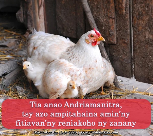 Tia anao Andriamanitra, tsy azo ampitahaina ny fitiavan'ny reniakoho ny zanany