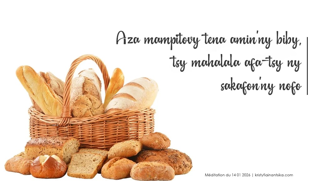 Aza mampitovy tena amin'ny biby, tsy mahalala afa-tsy ny sakafon'ny nofo