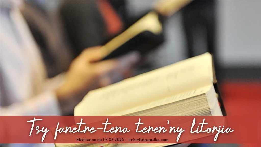Tsy fanetre-tena teren'ny litorjia