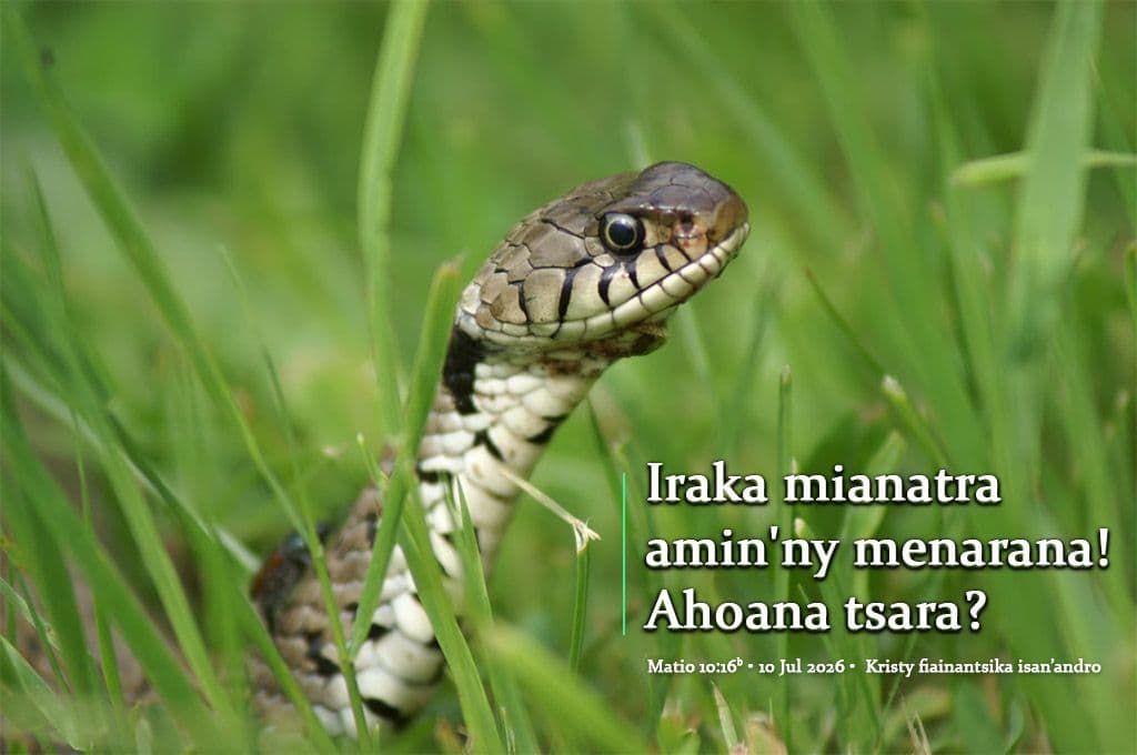 Iraka mianatra amin'ny menarana! Ahoana tsara?